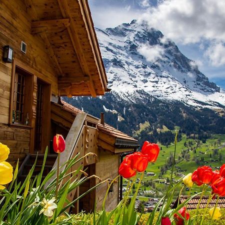 Chalet Caramelle Γκρίντελβαλντ Εξωτερικό φωτογραφία
