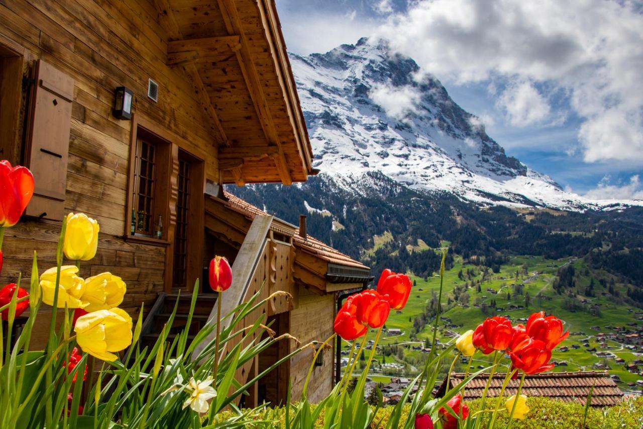 Chalet Caramelle Γκρίντελβαλντ Εξωτερικό φωτογραφία