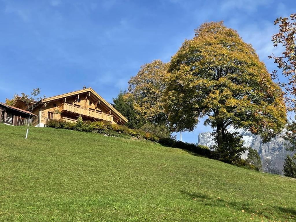 Chalet Caramelle Γκρίντελβαλντ Εξωτερικό φωτογραφία