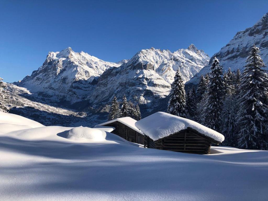 Chalet Caramelle Γκρίντελβαλντ Εξωτερικό φωτογραφία