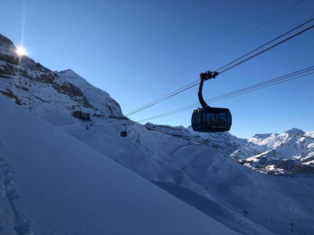 Chalet Caramelle Γκρίντελβαλντ Εξωτερικό φωτογραφία
